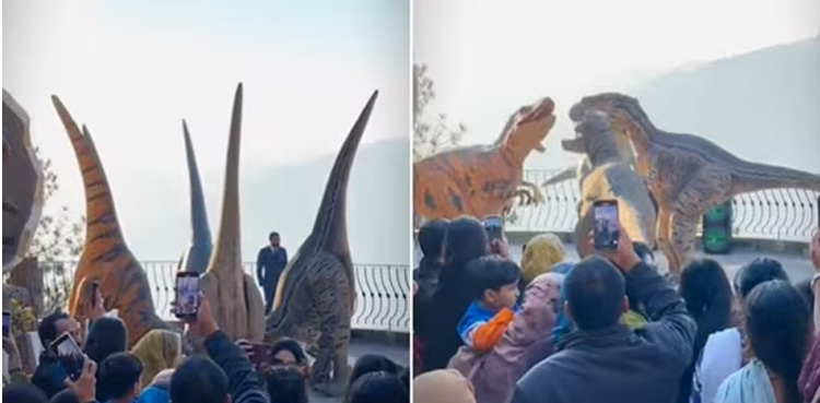 Watch: 'Dinosaurs' dance to Pakistani song Nach Punjaban