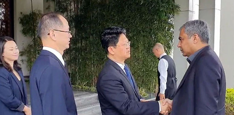 ‘Bisham attack culprits to be brought to justice', Naqvi assures Chinese team