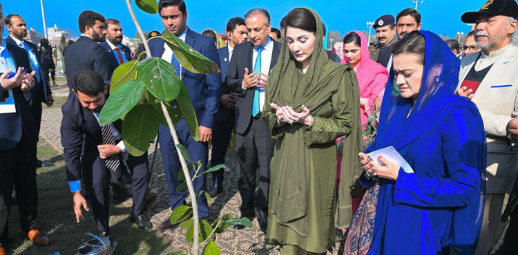 Punjab CM Maryam Nawaz inaugurates plantation drive