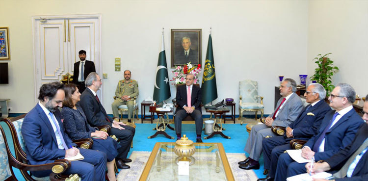 PM Shehbaz calls for cementing Pakistan-Turkiye bilateral ties