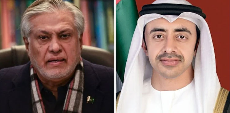 Ishaq Dar, UAE FM discuss sustained momentum of multi-tiered cooperation