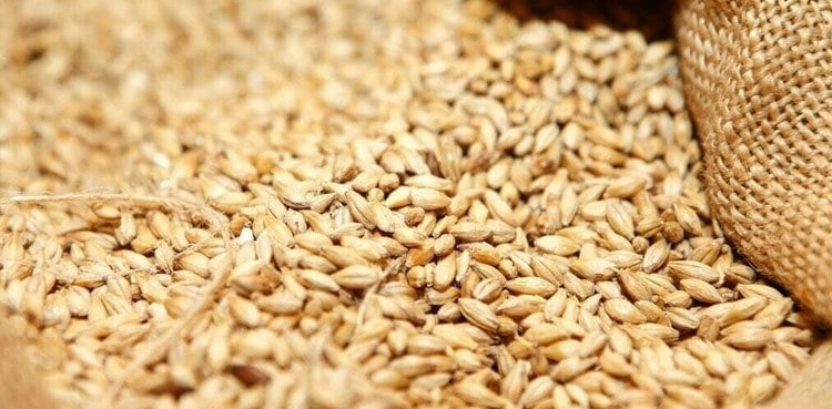 LHC summons policy regarding wheat procurement