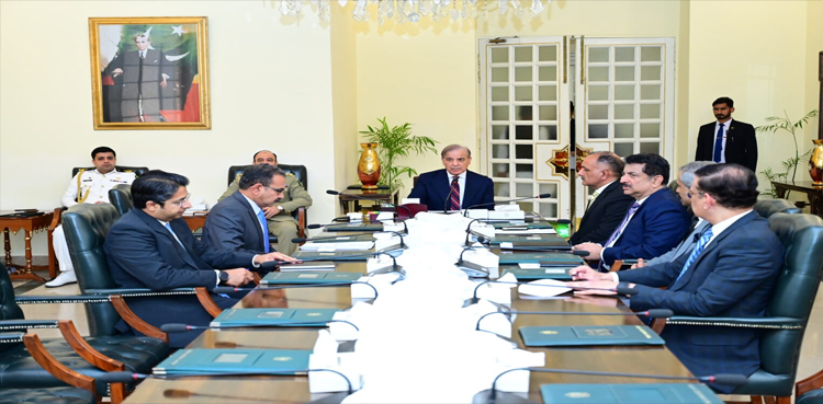 PM Shehbaz seeks progress report on relief works in rain-hit areas