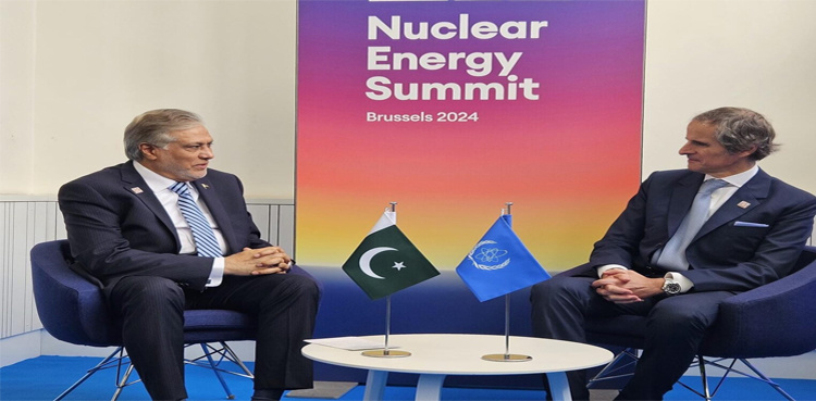 FM Ishaq Dar hails IAEA for 'peaceful' use of nuclear technology