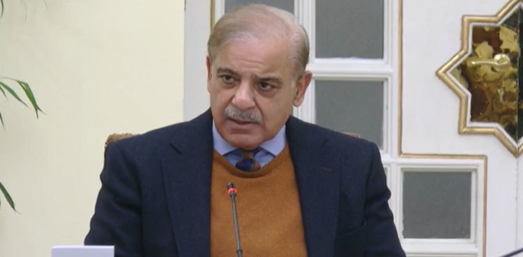 Danish schools network to be widened across Pakistan, says PM Sharif