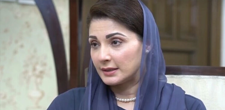 CM Maryam says effective steps to be taken for wildlife protection