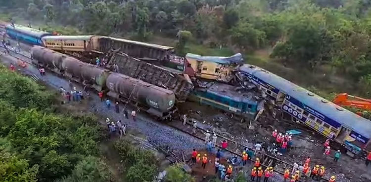Cricket craze causes train crash killing 14