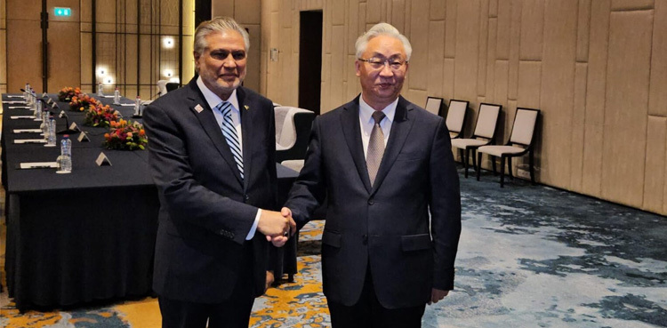 China to assist Pakistan in stabilizing financial situation: Vice PM