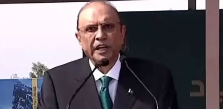 President Zardari forms National Economic Council