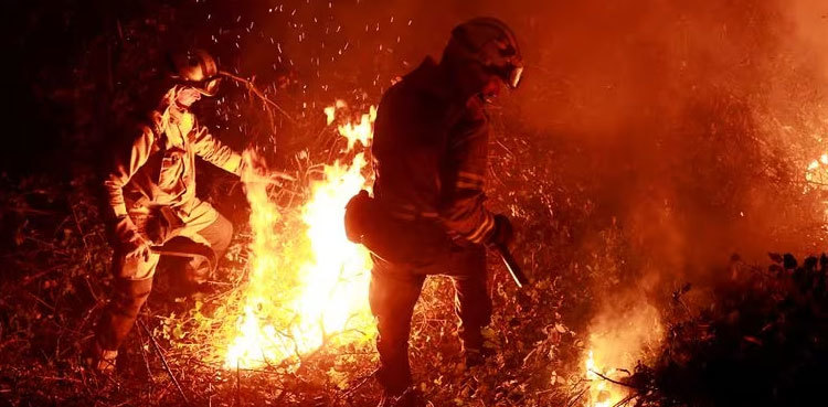 Spain braces for wildfires as beef farmers battle red tape