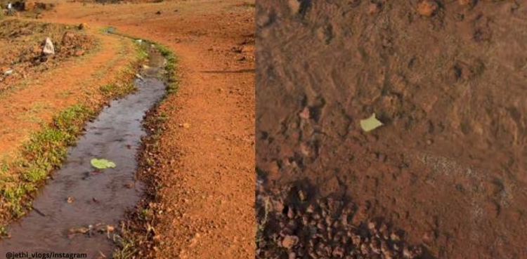 Watch: Stream ‘defying gravity’ leaves netizens shocked