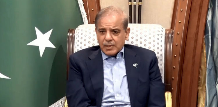 PM Shehbaz Sharif praises SIFC's role in Saudi investment