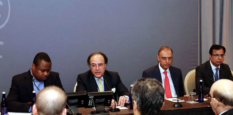 ‘Pakistan committed to enter into extended programme with IMF’