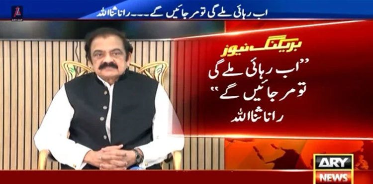 Nawaz Sharif will be ready for talks, but not PTI founder: Sanaullah