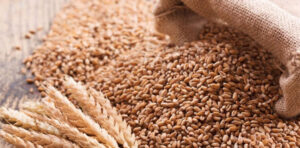 Wheat scandal: PM Shehbaz Sharif suspends four officers