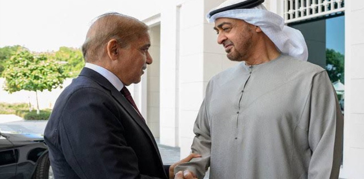 PM Shehbaz hails UAE President for his role during rains