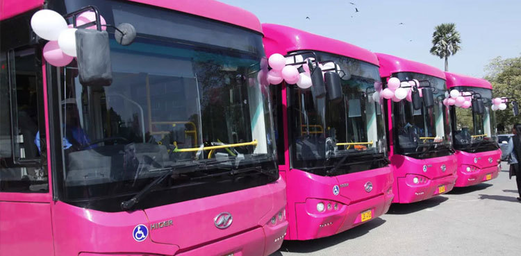 Pink Bus: Women can now avail service for free