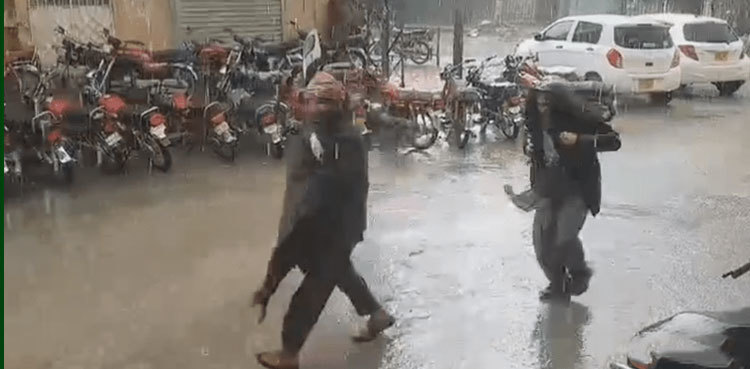 Bilawal Bhutto points out climate crisis amidst rain-related losses