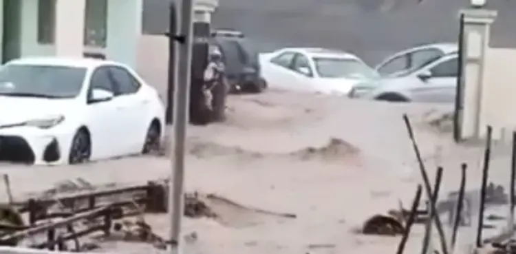 VIRAL VIDEO: Man braves floodwater to save daughter