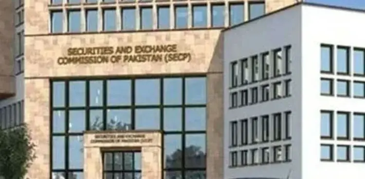 SECP registers 3,024 new companies in November 2024