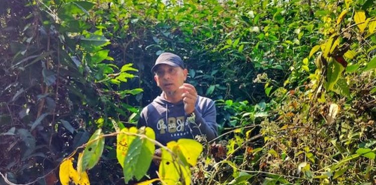 Why Farmers in India and Pakistan Are Shifting to Natural or Regenerative Farming