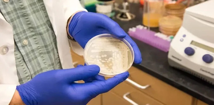 Forensic report reveals 'substance' found in letters to IHC judges