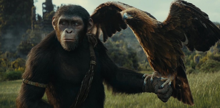 'Planet of the Apes' franchise looks to the future with new film 'Kingdom'