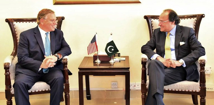 US envoy meets FinMin Aurangzeb, discusses mutual trade, investment