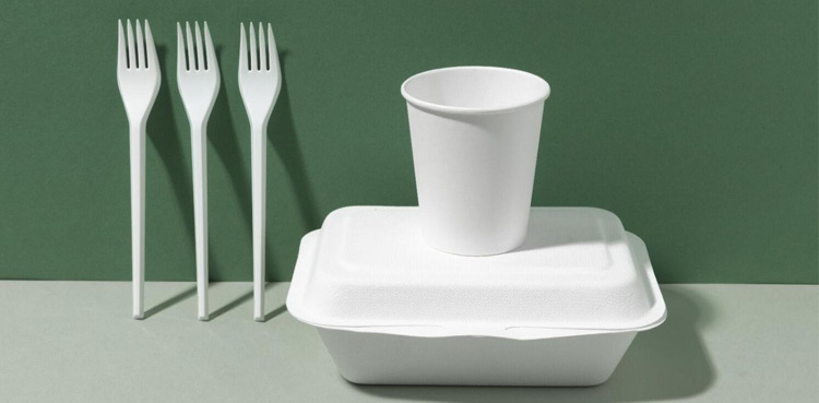 Abu Dhabi to ban single-use Styrofoam products from June 1