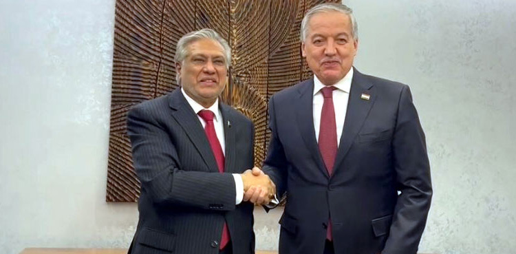 CASA-1000: Pak-Tajik FMs for early implementation of project