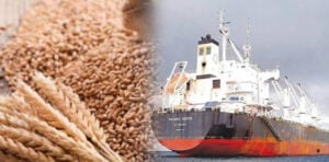 Complaint filed with NAB seeking probe into wheat scandal