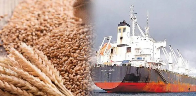 Anwarul Haq Kakar dismisses allegations in wheat import scandal