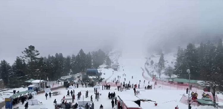 7 killed as van plunges into gorge in Malam Jabba