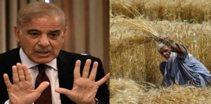 Wheat scandal: PM Shehbaz ‘approves’ probe against four officers