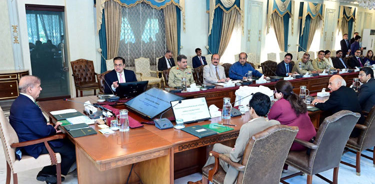 Govt decides to establish Pakistan skill company