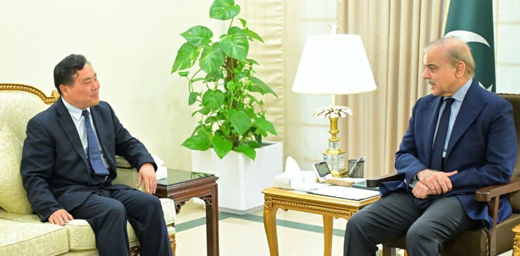 PM Shehbaz wants Chinese investment in Pakistan's mining sector