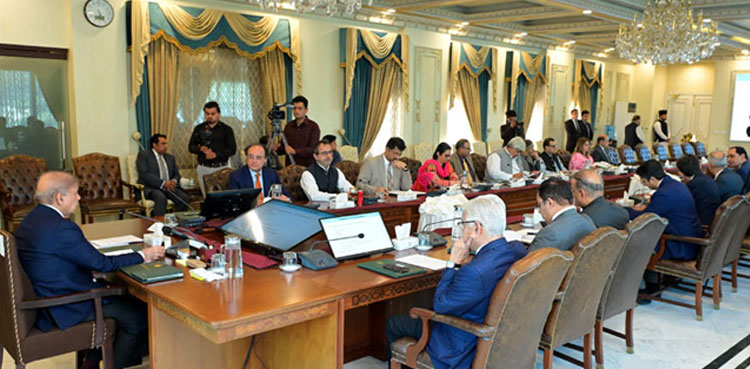 PM Sharif regrets PTI's propaganda against Pakistan armed forces