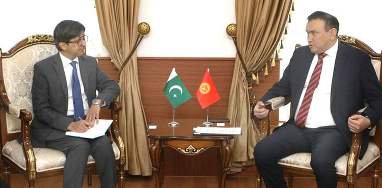 Bishkek violence: Pakistan envoy raises concerns with Kyrgyz Deputy FM