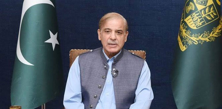 PM Shehbaz stresses global cooperation to end heinous crimes in Palestine