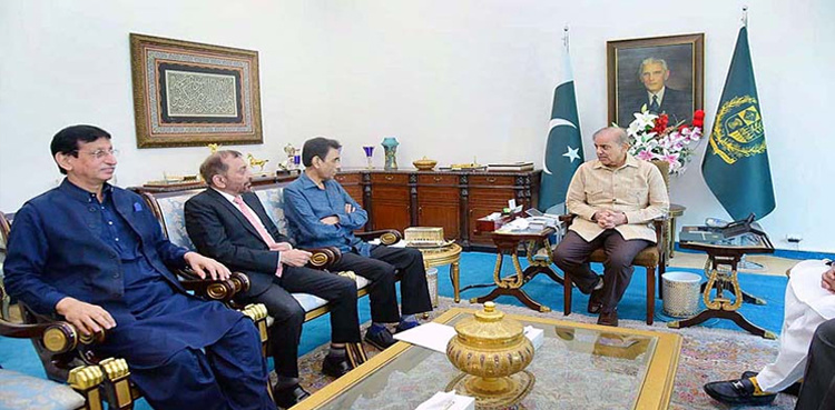 MQM-P to raise NAB amendments issue with PM Shehbaz