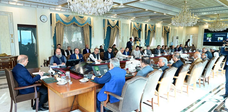 PM Shehbaz calls for plans on B2B meetings, attracting Chinese industries