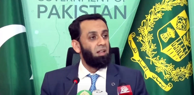 Attaullah Tarar claims PTI encouraging media campaign against journalists