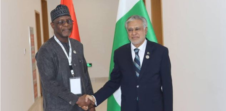 FM Dar, Nigerien counterpart reiterates to strengthen cooperation