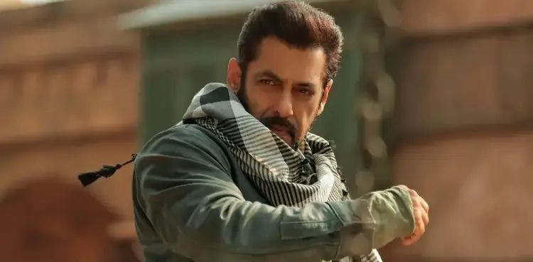 'Salman Khan will never get married'