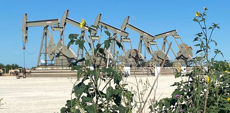 Oil falls as US storm threat abates, China stimulus disappoints