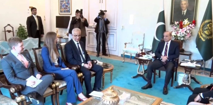 PM Shehbaz Sharif seeks investment from UK