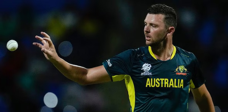 Hazlewood 'on track' to start T20 World Cup after Ashes absence