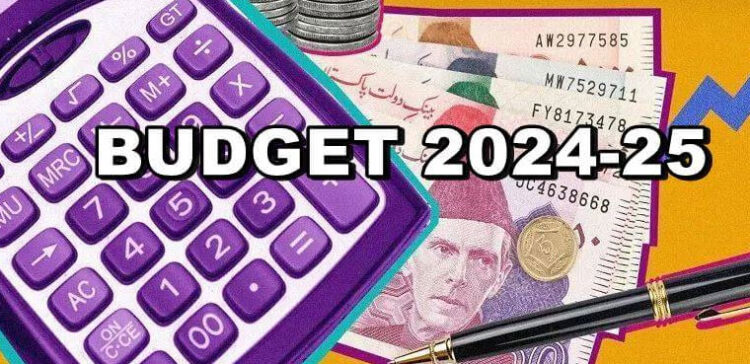 Budget 2024-25: Senate recommends Rs 45,000 minimum wage