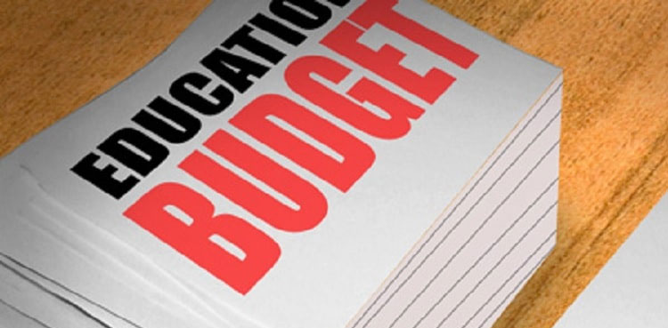 Budget 2024-25: Govt earmarks Rs60b for higher education