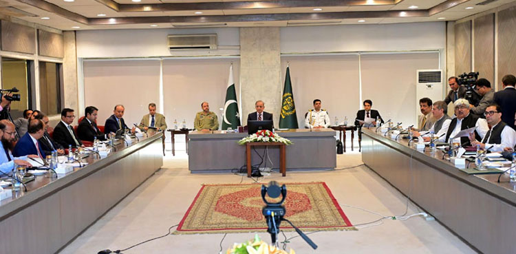 PM Shehbaz calls for special focus on promotion of alternative energy